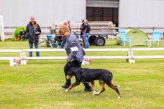 NVAEGZ_web-5157