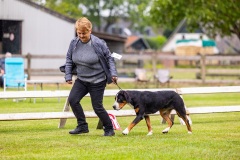NVAEGZ_web-5161