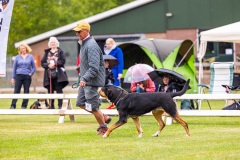 NVAEGZ_web-5176