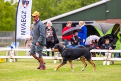 NVAEGZ_web-5181