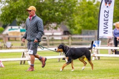 NVAEGZ_web-5183