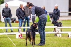 NVAEGZ_web-5191