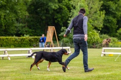 NVAEGZ_web-5193