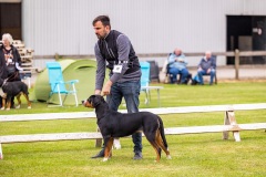 NVAEGZ_web-5212