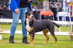 NVAEGZ_web-5226