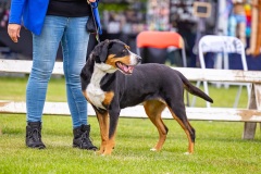 NVAEGZ_web-5227