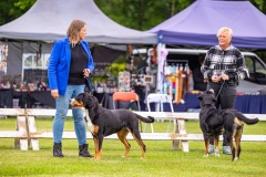 NVAEGZ_web-5228