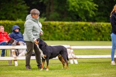 NVAEGZ_web-5230