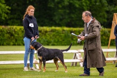 NVAEGZ_web-5231