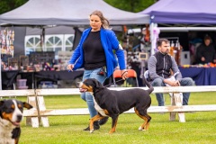 NVAEGZ_web-5236