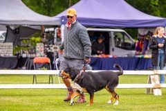 NVAEGZ_web-5241