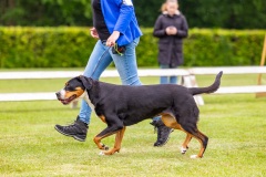 NVAEGZ_web-5258