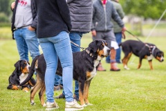 NVAEGZ_web-5281