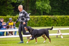 NVAEGZ_web-5295