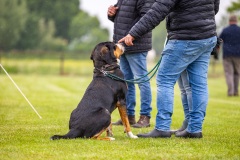 NVAEGZ_web-5309