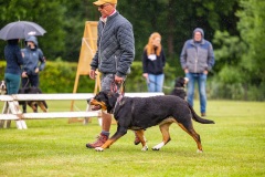 NVAEGZ_web-5311