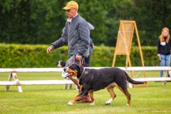 NVAEGZ_web-5312