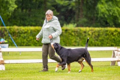 NVAEGZ_web-5336