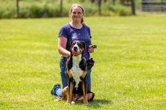 CV4A1223