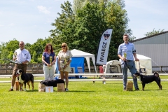 CV4A1733
