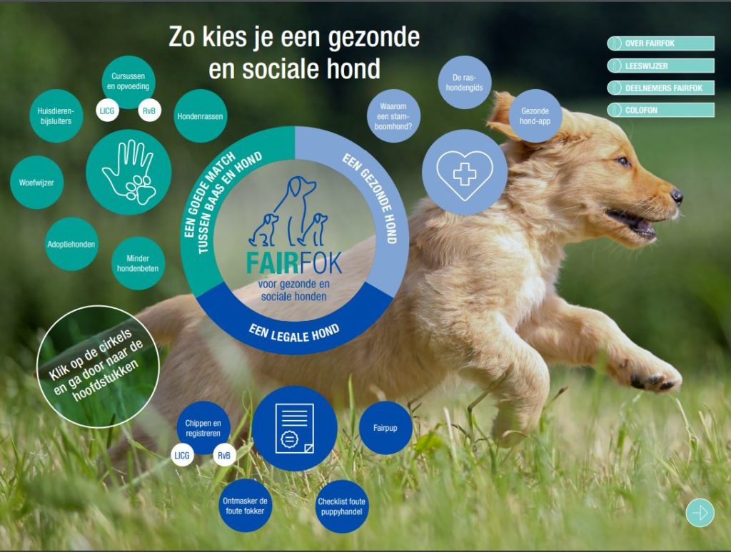 Een handige brochure voor het kiezen van de juiste hond voor jouw leefsituatie.